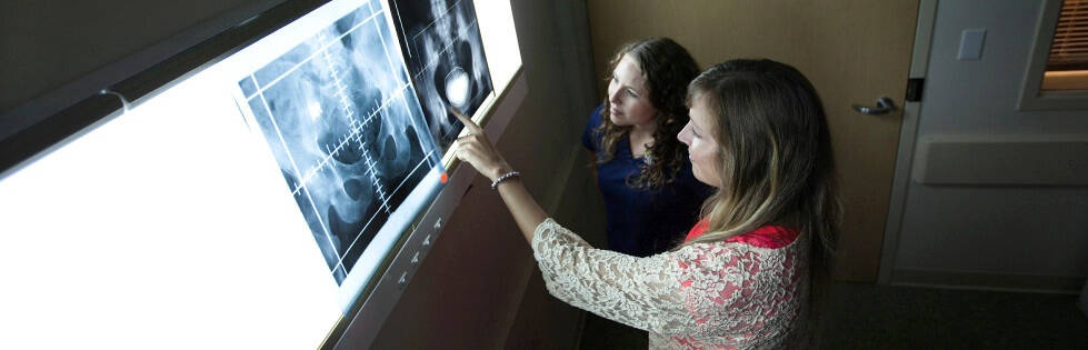 Radiation Therapy students looking at scans
